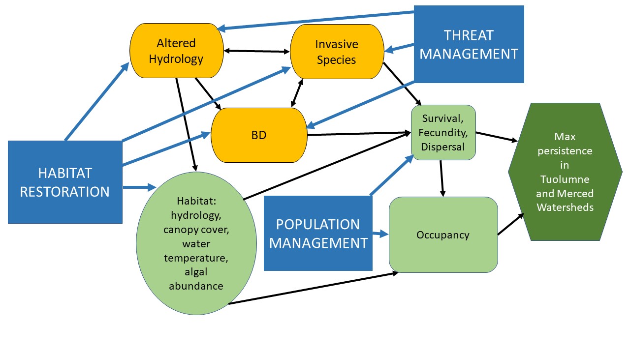 Conceptual Model for Foothill Yellow Legged Frog